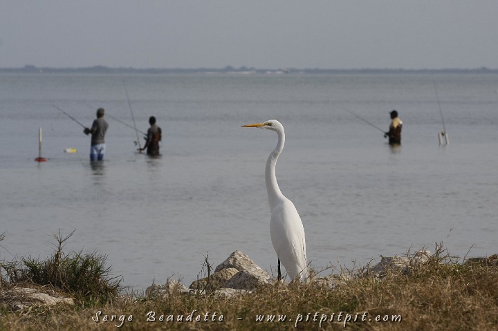 2009-01-04 14-48-03__MG_9819.JPG